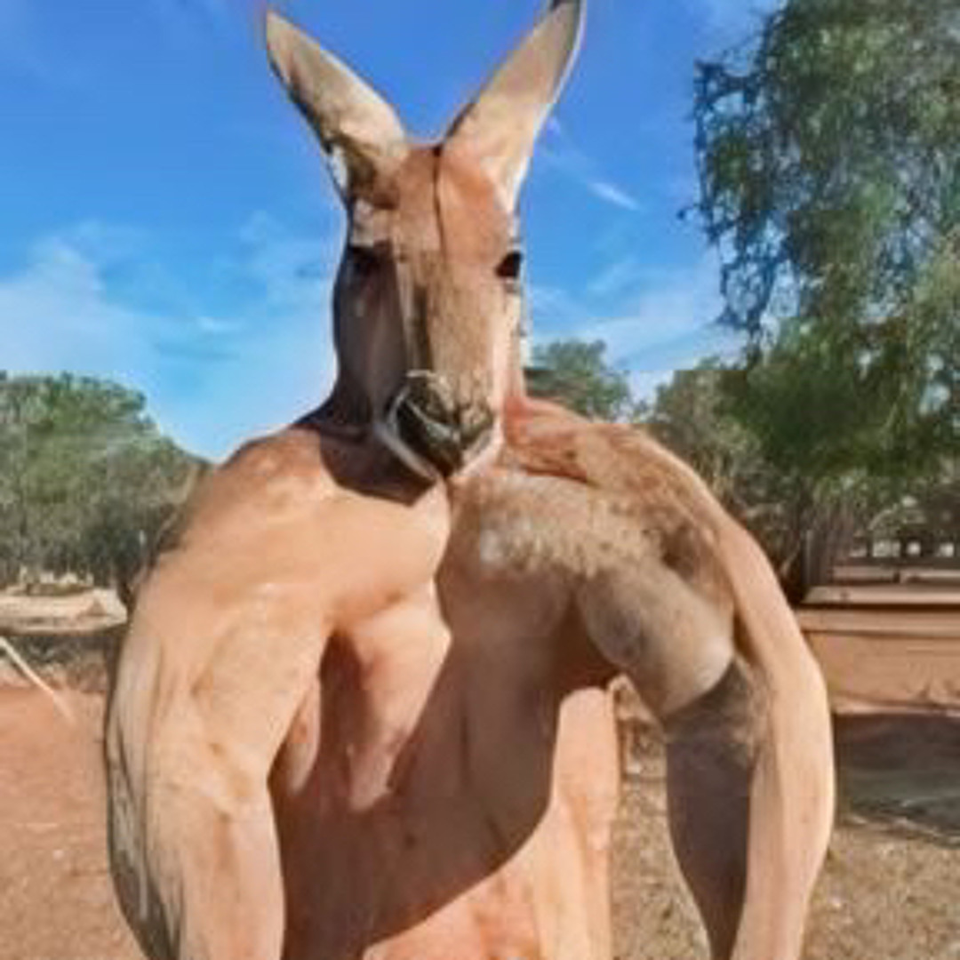 Not My Problem Slowed Not My Problem Slowed