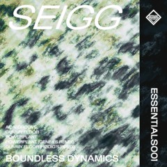 ESSOR001 - SEIGG - BOUNDLESS DYNAMICS - SNIPPETS (out 10th march)