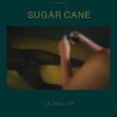 Sugar Cane