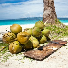 Coconut Tree