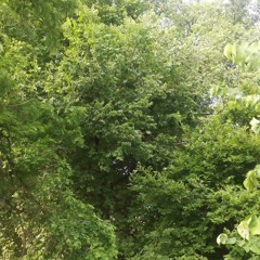 Calm Before the Storm