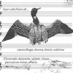 Loon Asylum