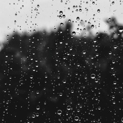 Petrichor
