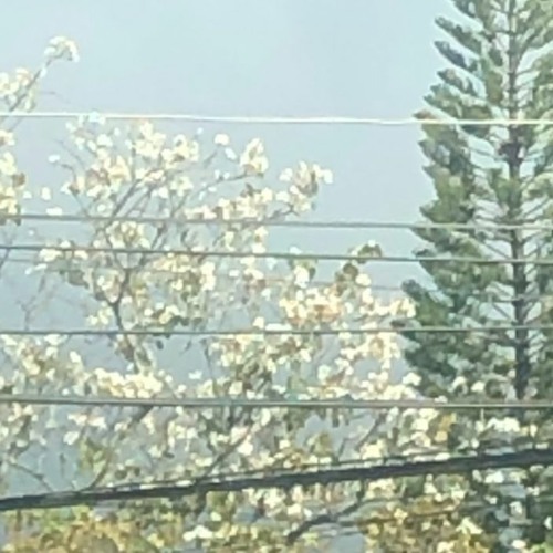 yuju - play (slowed and reverb)