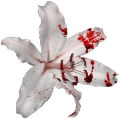 madonna - la isla bonita (slowed)