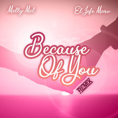Melly Mel ft. El Jefe Marv - Because Of You (Remix).mp3