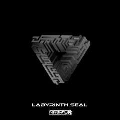 Labyrinth Seal