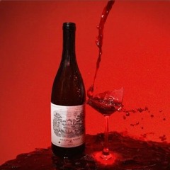 BIBIZA - aufnimmawiederschaun (J-Cob Remix)