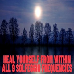 Heal Yourself From Within All 9 Solfeggio Frequencies
