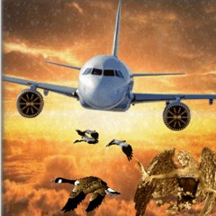 END HIM (fredchillin!)