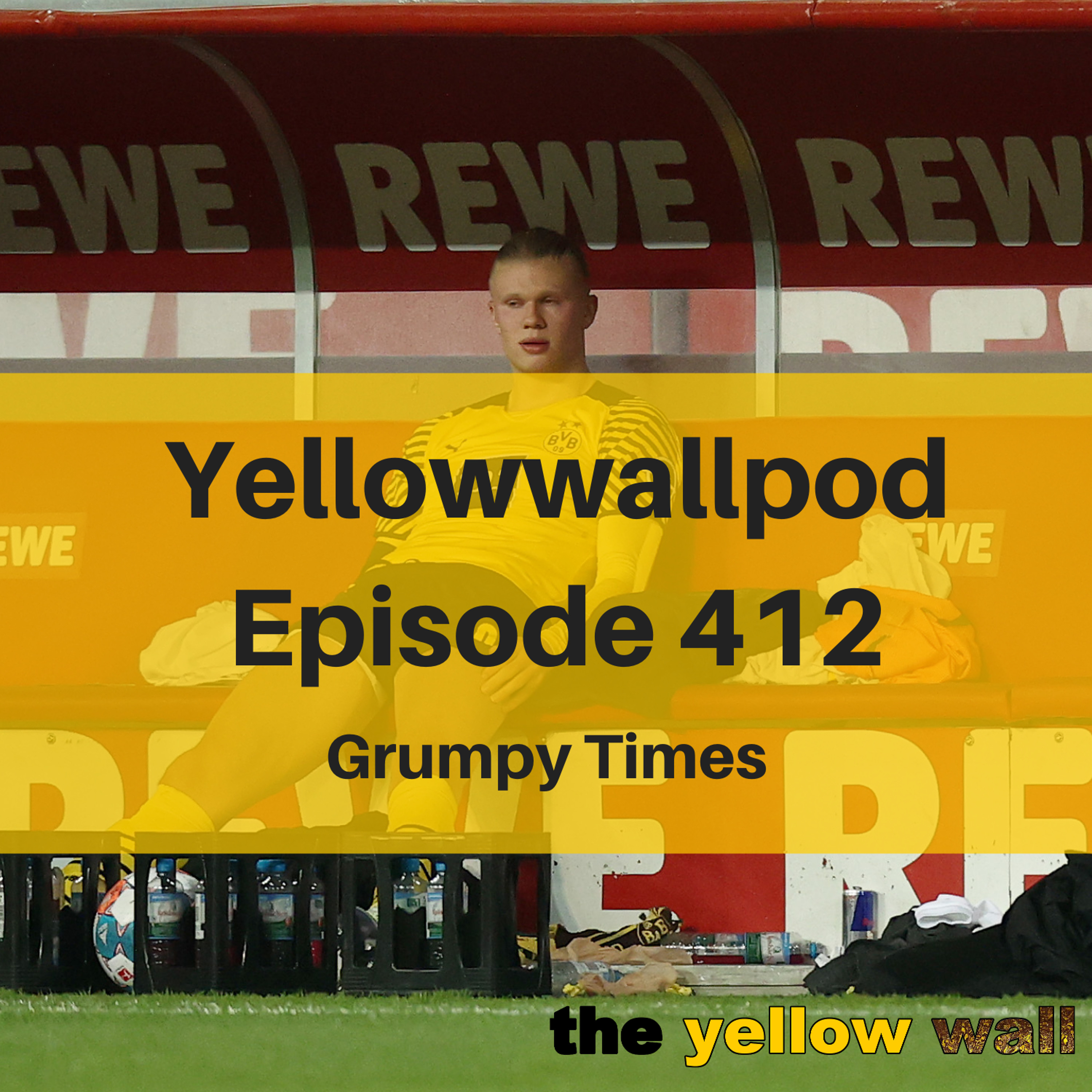 Yellowwallpod