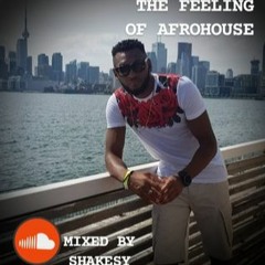The Feeling Of AfroHouse - Mixed By Shakesy