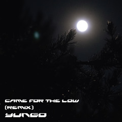 Came For the Low [YUNGO Remix]