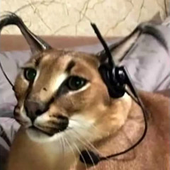 МакSим - Трудный Возраст (lxwxrs Hardcore Remix)