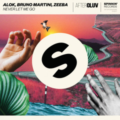 Never Let Me Go (Radio Edit)