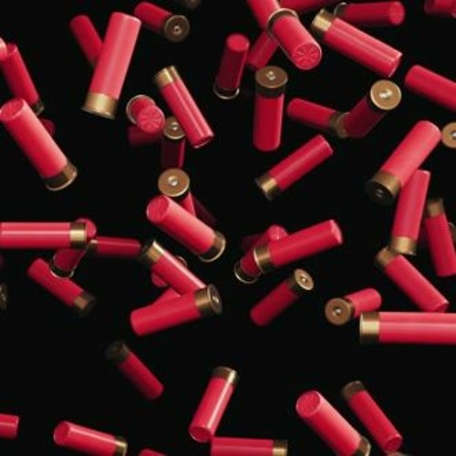 💥💥SHOTGUN JUNGLIST💥💥