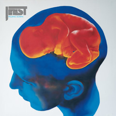 ESP (Extra Sensory Perfection)