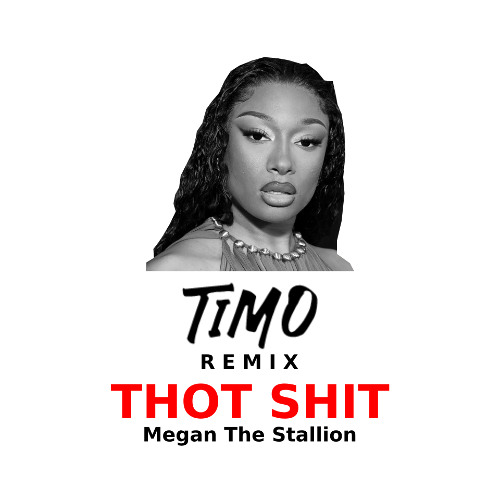 Stream Thot Shit - Megan Thee Stallion (TIMO Remix) by TIMO | Listen