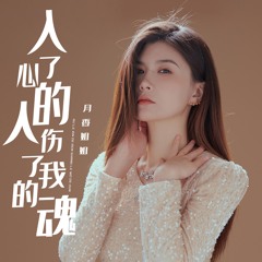 入了心的人伤了我的魂 (Live合唱版伴奏)