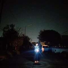 Many roads to follow (the nerves)