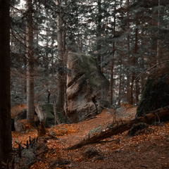 October Samples 2025 (Prod SheldonOnYoBlock)
