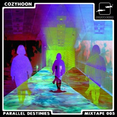 Parallel Destinies Mixtape 005 w/ Cozyhoon