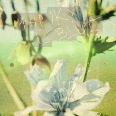 The sky is blue with ishi____vu [002] live at tukio May6