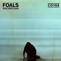 Foals - What Went Down (guitar and bass cover by Disraeli)