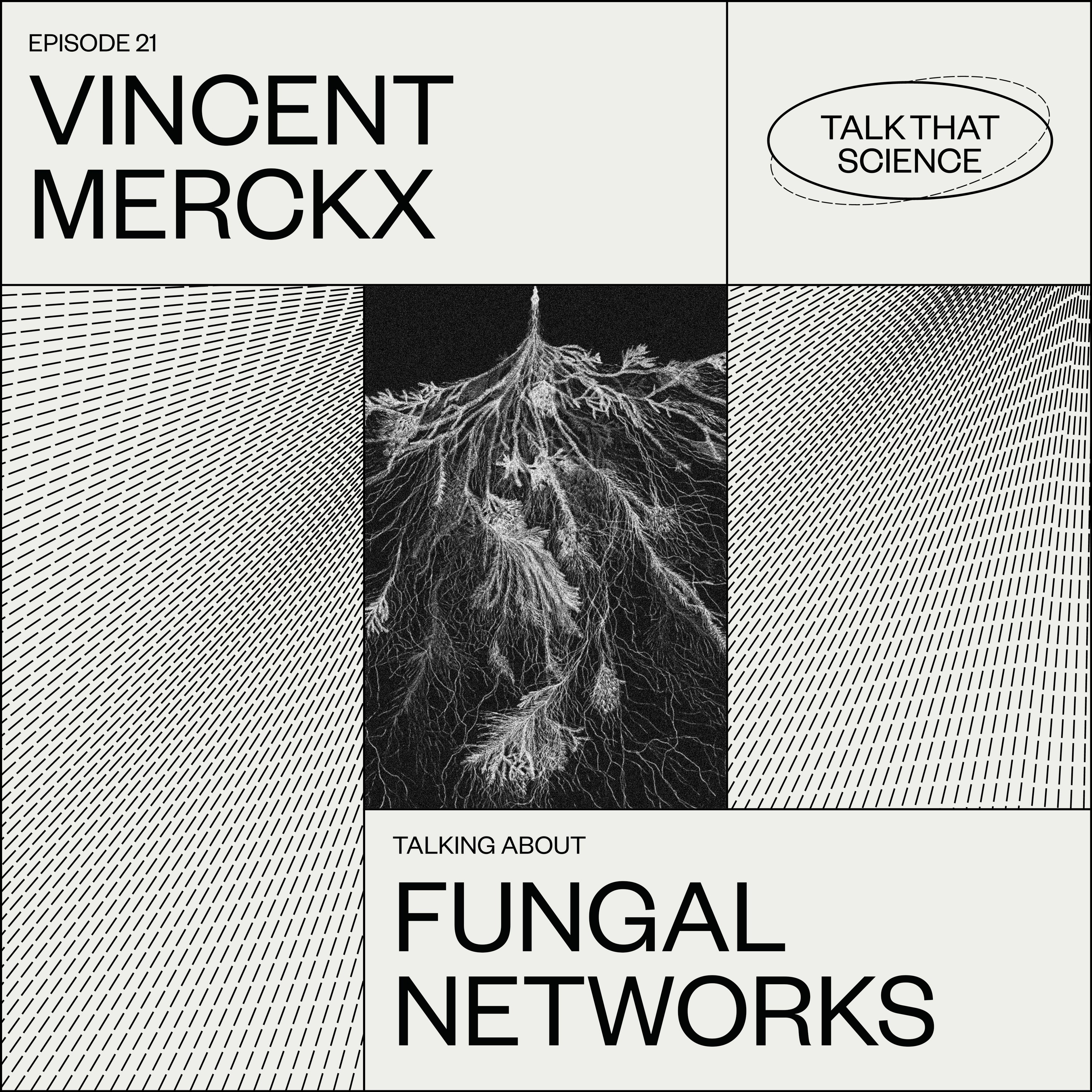 Fungal Networks @Echobox Radio