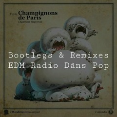 [RMX/VA] EDM Pop & Dance Bootlegs | Q9 (453)
