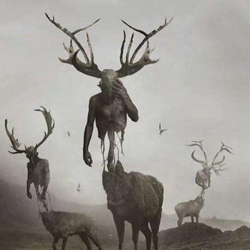 Into The Abyss