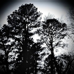 Decalius/Made of Pain based demo