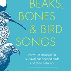 DOWNLOAD PDF 💌 Beaks, Bones & Bird Songs: How the Struggle for Survival Has Shaped B