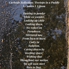 Curbside Reflection of Trees in a Puddle—a poem