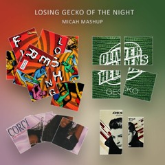 Losing Gecko of the Night (MICAH Mashup)