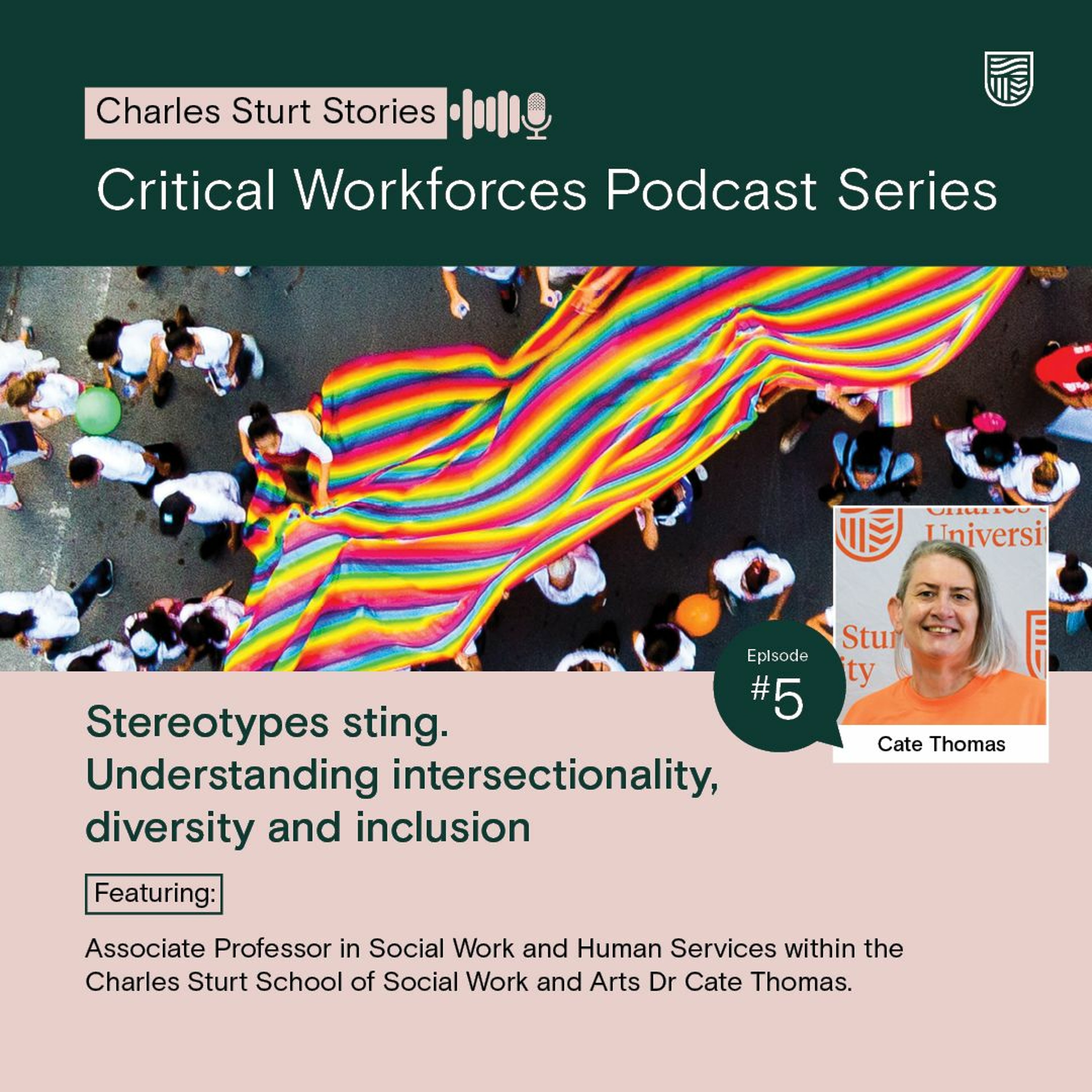 Stereotypes sting. Understanding intersectionality, diversity and inclusion.