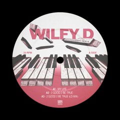 Wilfy D - 2 Good 2 Be True (LD Mix)