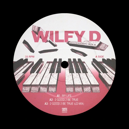 Artwork for the song Wilfy D - 2 Good 2 Be True (LD Mix) by Dansu Discs on Next Sound