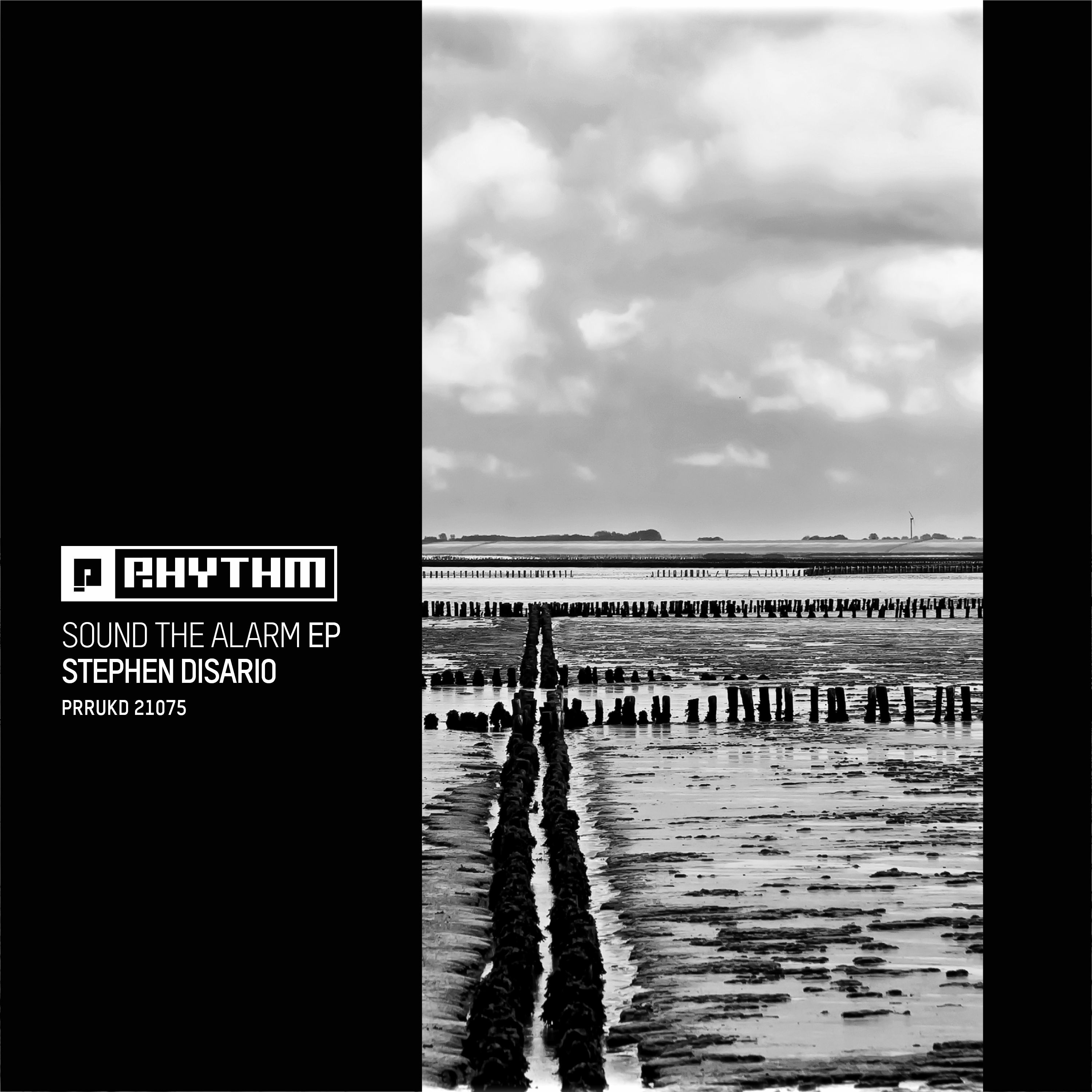 STEPHEN DISARIO