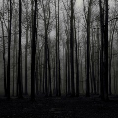 music had (FREE DOWNLOAD)