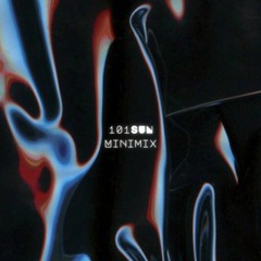 101SUN Minimix