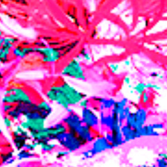 lohadi- Kisangani  2