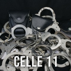 The golden age of policing - Ep 7 (S4) Politirettshistorie