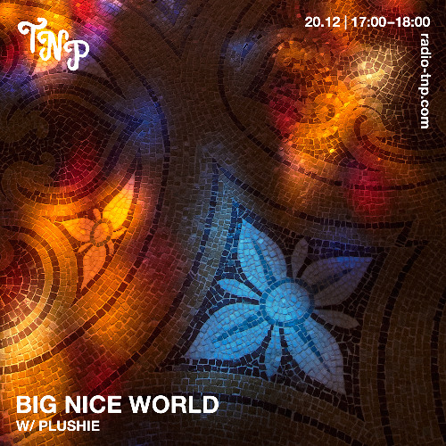 Big Nice World w/ Plushie