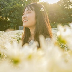 CHUYỆN CŨ MÌNH BỎ QUA (BÍCH PHƯƠNG) - TVT REMIX