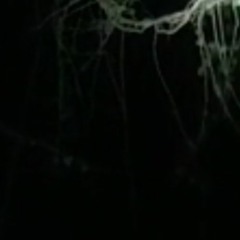 Untitled - 2:12:24, 9.24 PM Bells