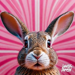 AKA AKA, STK Project & GRXTZ - Chardonnay (Extended Mix)