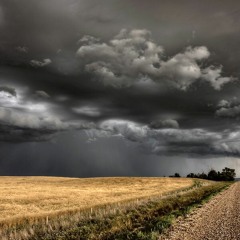 Damnation Trail