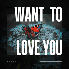 Want To Love You (Instrumental)