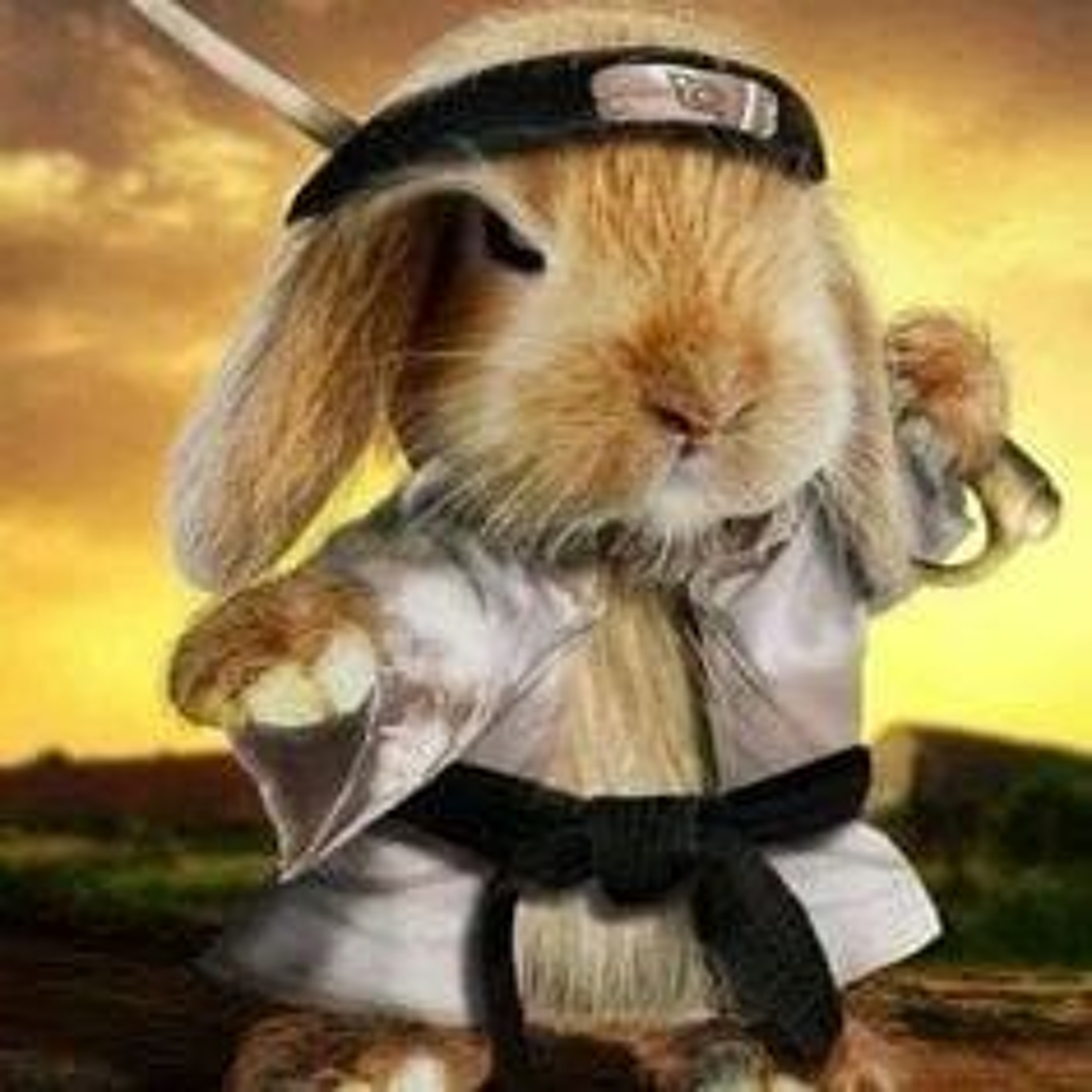 Le temps d\'un lapin